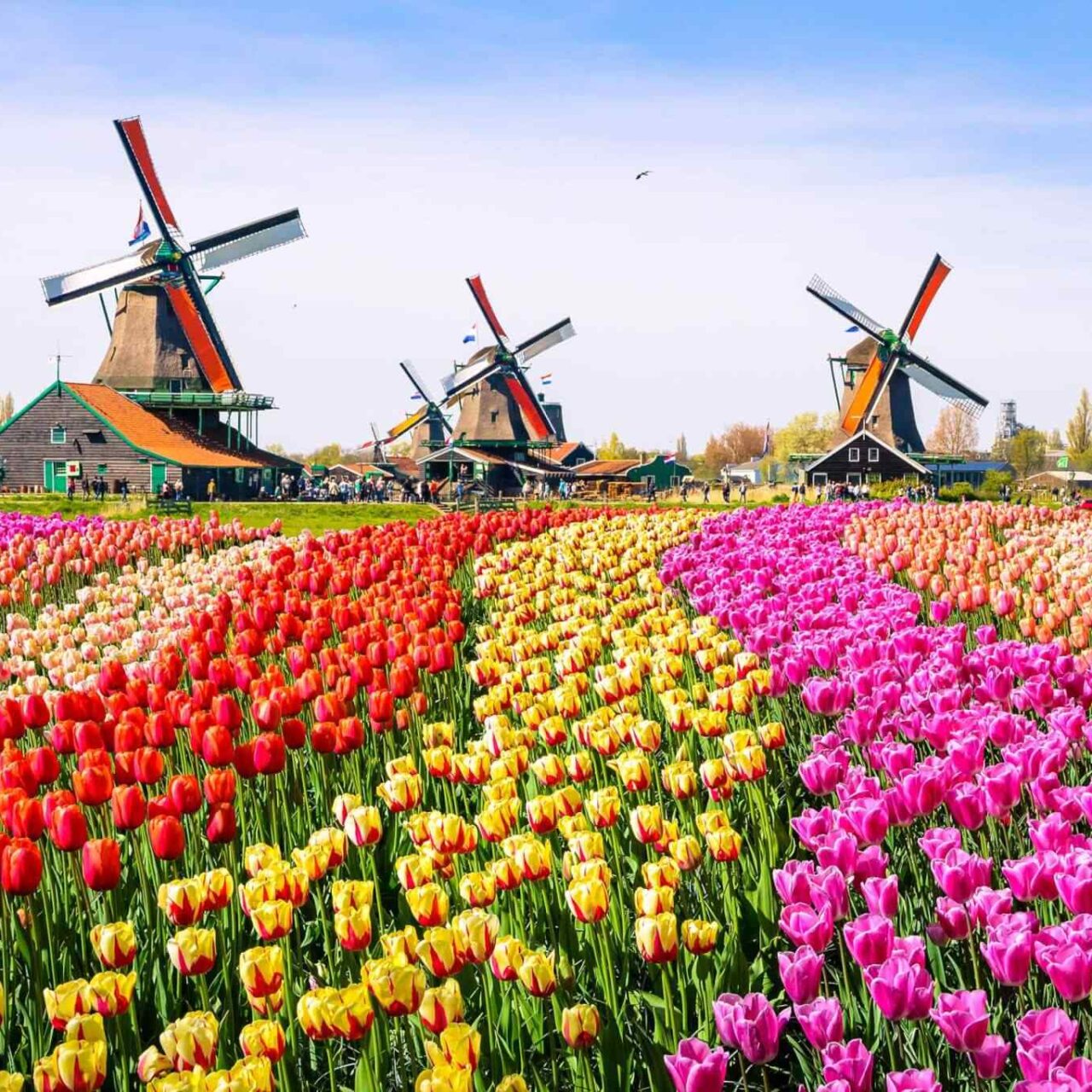 https://spiritkerala.com/wp-content/uploads/2018/09/destination-netherlands-01-1280x1280.jpg