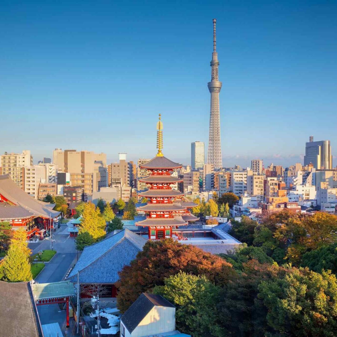 https://spiritkerala.com/wp-content/uploads/2018/09/destination-tokyo-04-1280x1280.jpg