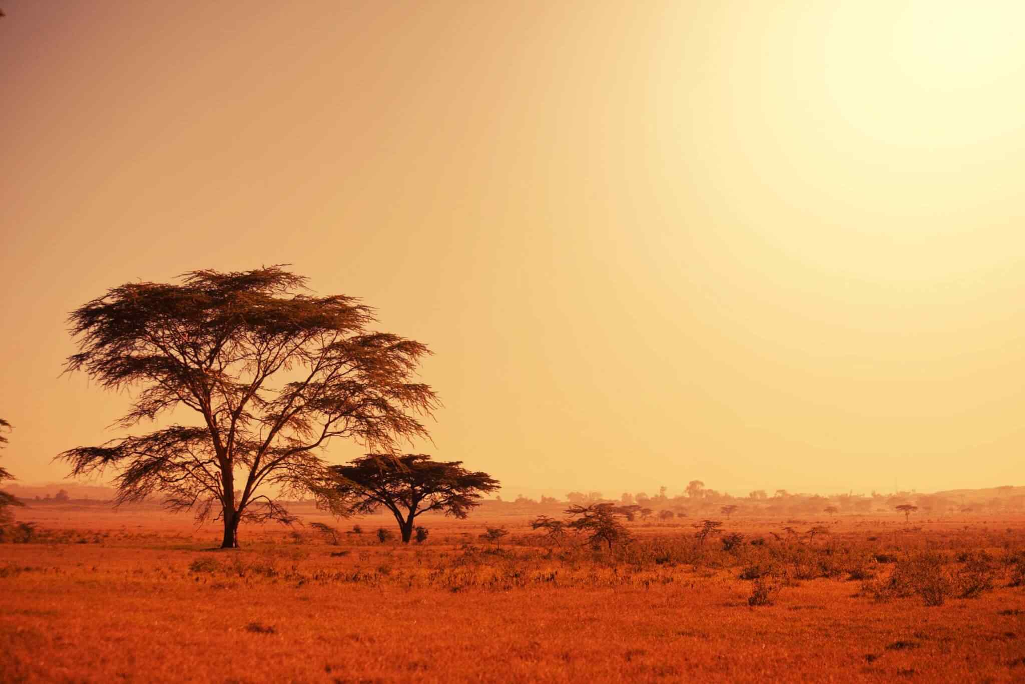 https://spiritkerala.com/wp-content/uploads/2018/09/tour-africa-02.jpg