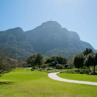https://spiritkerala.com/wp-content/uploads/2018/09/tour-capetown-03-320x320.jpg