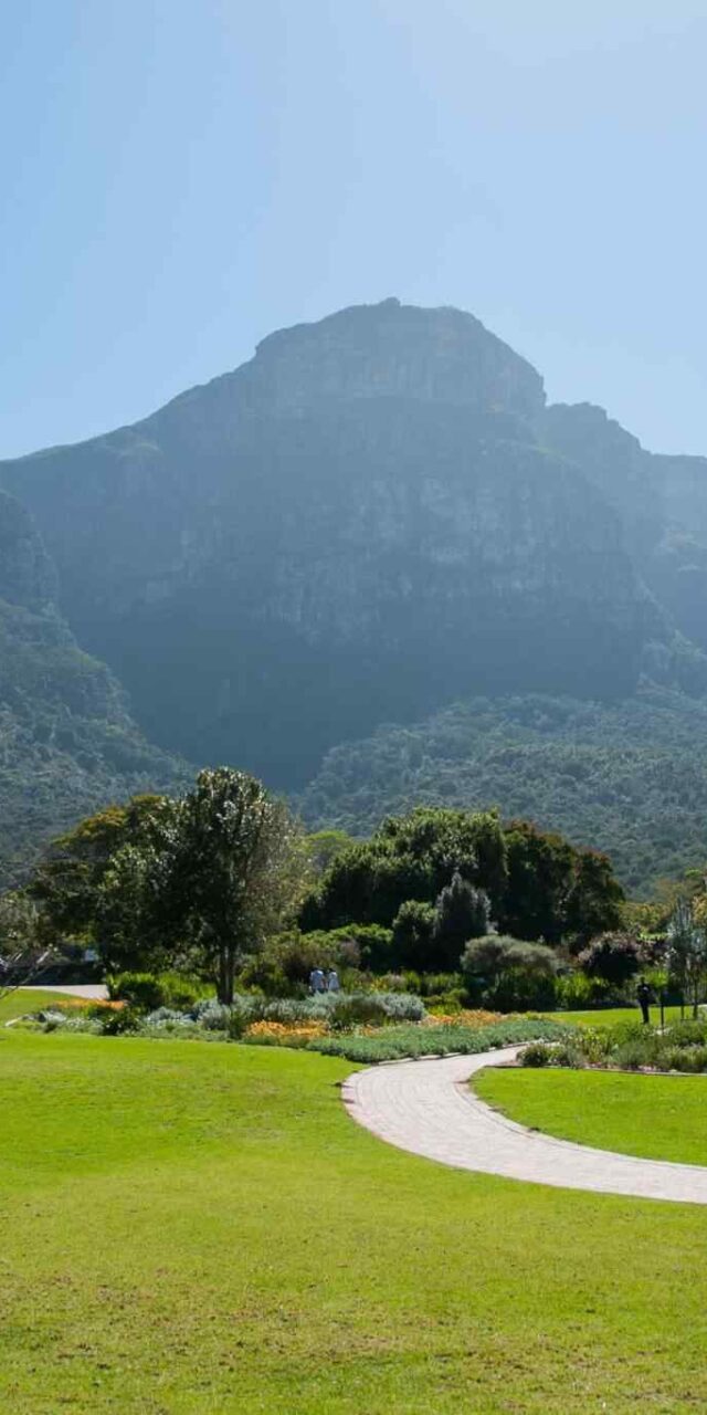 https://spiritkerala.com/wp-content/uploads/2018/09/tour-capetown-03-640x1280.jpg