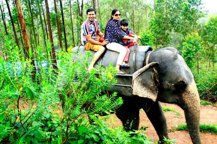 elephant ride in thekkady