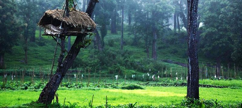 wayanad tourism
